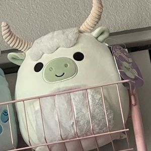 Iver squishmallow